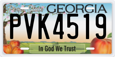 GA license plate PVK4519