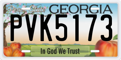 GA license plate PVK5173