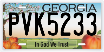 GA license plate PVK5233