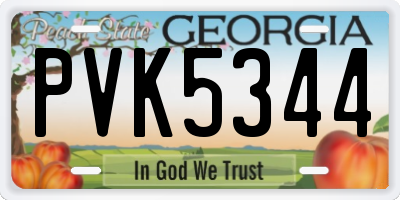 GA license plate PVK5344
