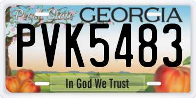 GA license plate PVK5483