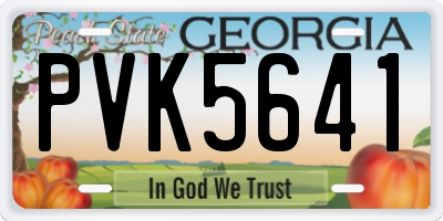 GA license plate PVK5641