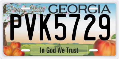 GA license plate PVK5729