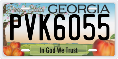 GA license plate PVK6055