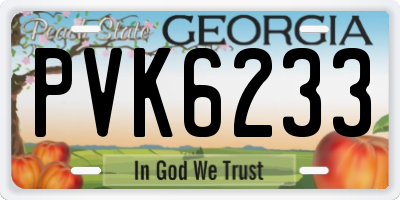 GA license plate PVK6233