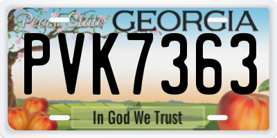 GA license plate PVK7363