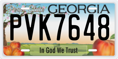 GA license plate PVK7648