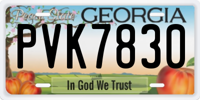 GA license plate PVK7830