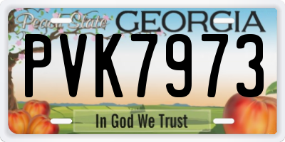 GA license plate PVK7973