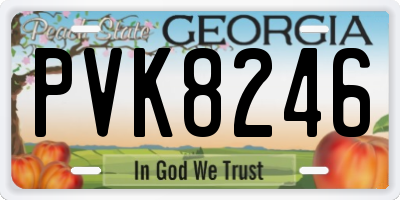GA license plate PVK8246