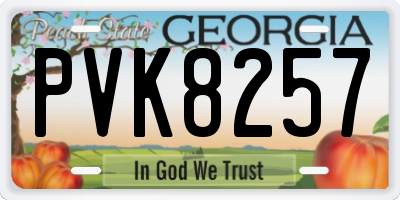 GA license plate PVK8257