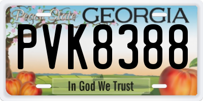 GA license plate PVK8388