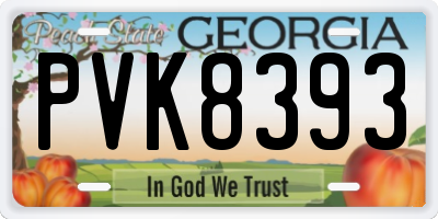 GA license plate PVK8393