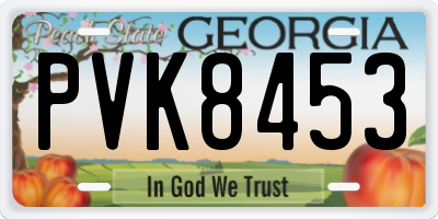 GA license plate PVK8453