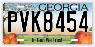 GA license plate PVK8454