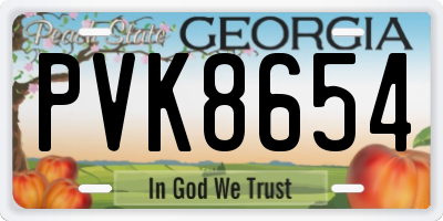 GA license plate PVK8654