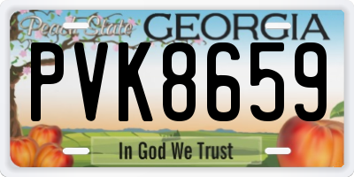 GA license plate PVK8659