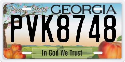 GA license plate PVK8748