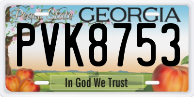 GA license plate PVK8753