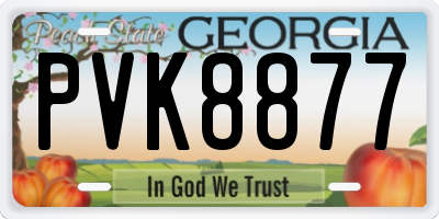 GA license plate PVK8877
