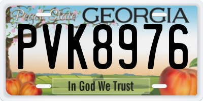 GA license plate PVK8976