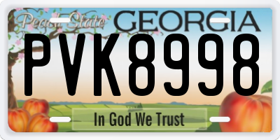 GA license plate PVK8998
