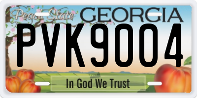 GA license plate PVK9004