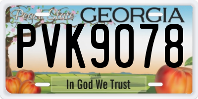 GA license plate PVK9078