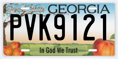 GA license plate PVK9121
