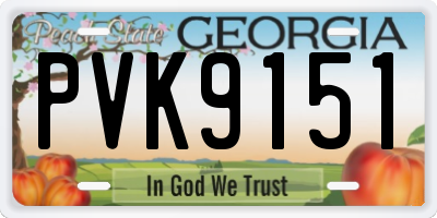 GA license plate PVK9151
