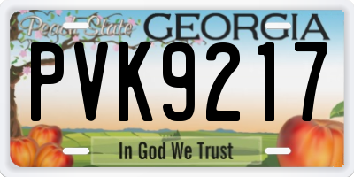 GA license plate PVK9217