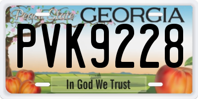 GA license plate PVK9228