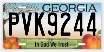 GA license plate PVK9244