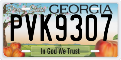 GA license plate PVK9307