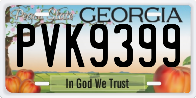 GA license plate PVK9399
