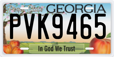 GA license plate PVK9465