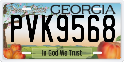 GA license plate PVK9568
