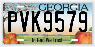 GA license plate PVK9579