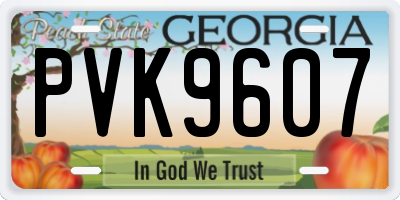 GA license plate PVK9607