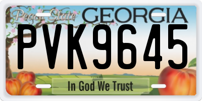 GA license plate PVK9645