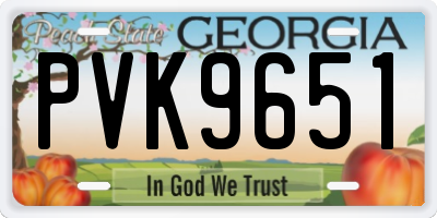 GA license plate PVK9651