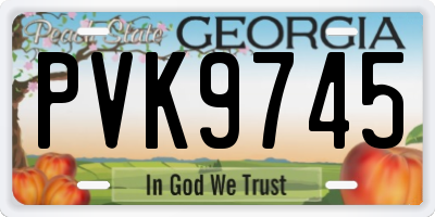 GA license plate PVK9745