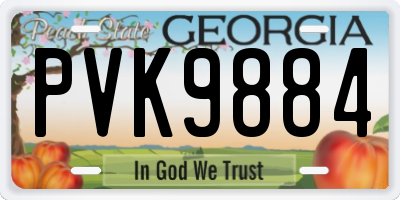 GA license plate PVK9884