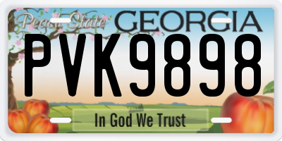 GA license plate PVK9898