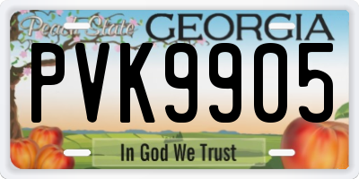 GA license plate PVK9905