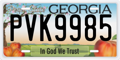GA license plate PVK9985