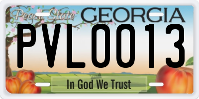 GA license plate PVL0013