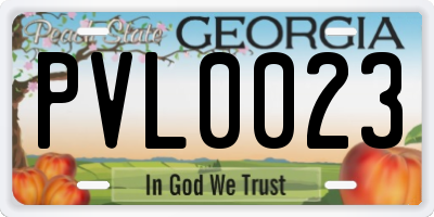 GA license plate PVL0023