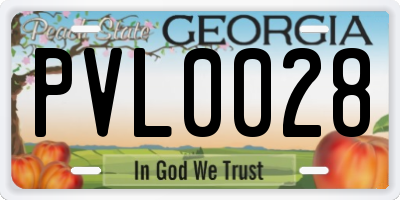 GA license plate PVL0028