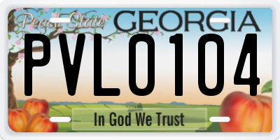 GA license plate PVL0104